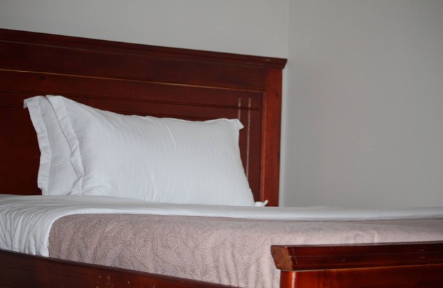 Tranquil forest cabin in Entebbe