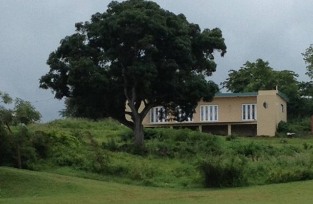 Tranquil Hillside Paradise