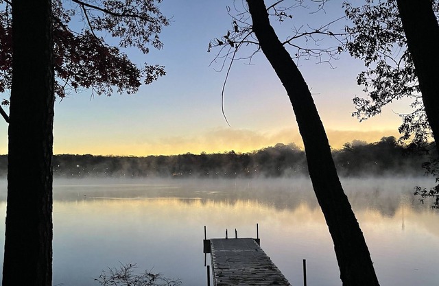 Tranquil Lakefront Getaway ~ King Master~ Backyard