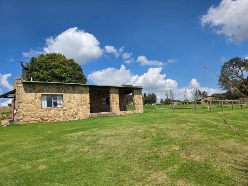 Treeferns Trout Lodge