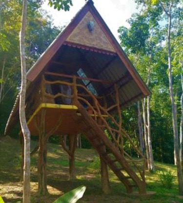 Treehouse Holidays-Open house
