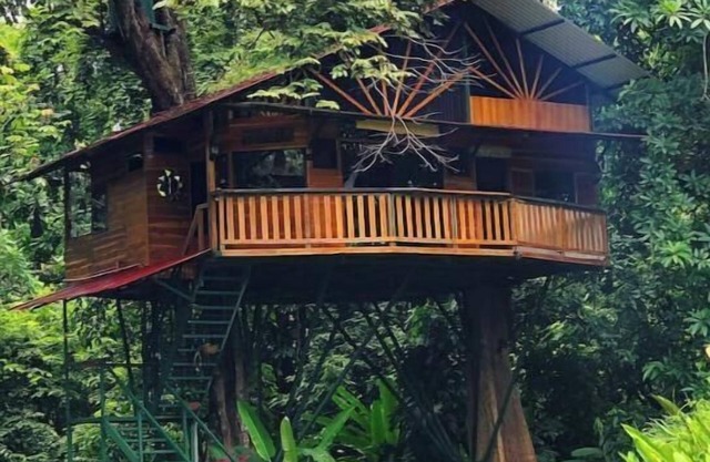 Treehouse with butterfly and exotic fruit farm
