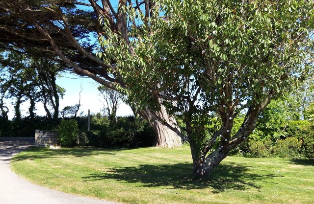 Trelawne Garden Annexe