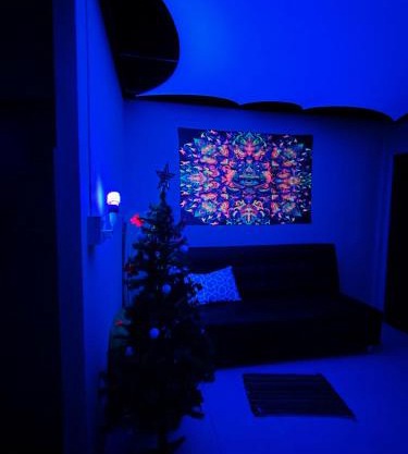 Tripovali guest 2