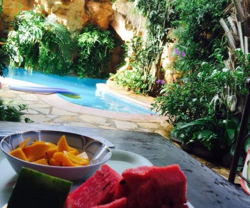 tropical oasis