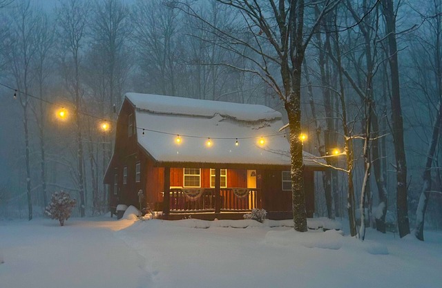 Tug Hill Cabin, Redfield NY, On Snowmobile Trail, ATV, SXS Salmon River Fishing