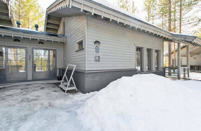 Tunturipöllö 2