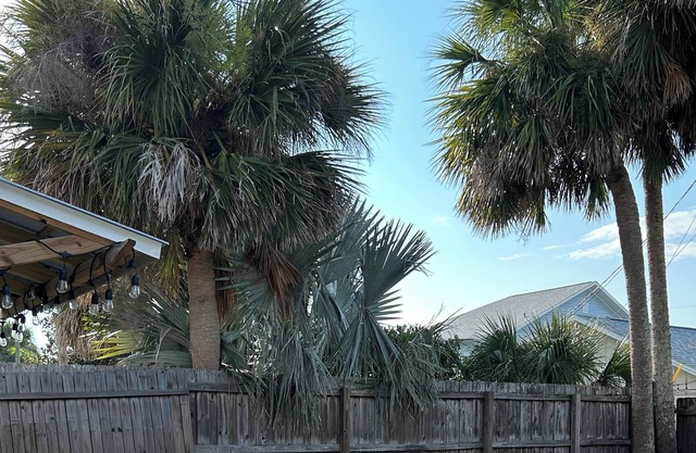 Turtle Tracks Tiny House One bed one bath one block to beach. Quiet and private