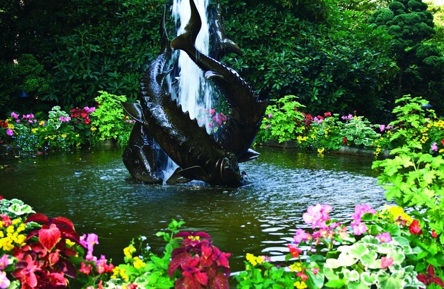 Twinview executive one-bedroom suite