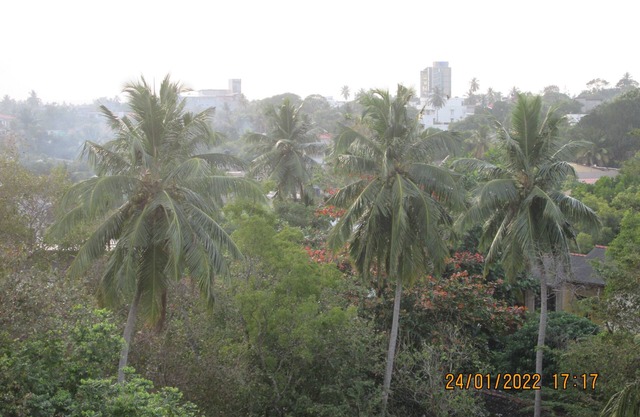 Two Bed Room Luxury Apartment - Mount Lavinia
