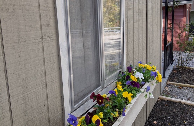 Two Bedroom Cabin adjacent to Lake Barkley State Park