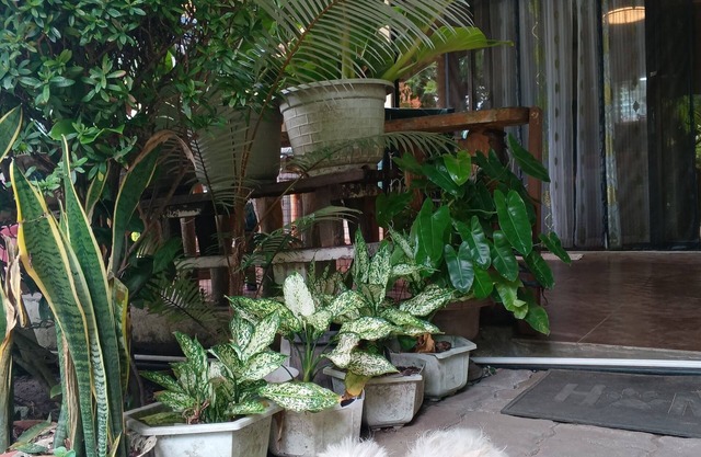 Two Bedroom Camiguin Vacation House Retreat on Mambajao near all perks