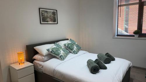 Ultra-Central Loft Penthouse Sky Sports & Movies