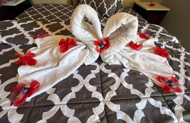 Unit with comfort and joy