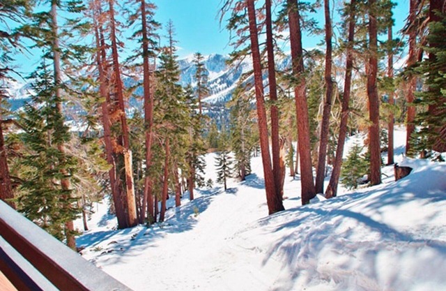 Updated Mountainside Mammoth Condo with Amazing Views-Close to Lakes and Trails!