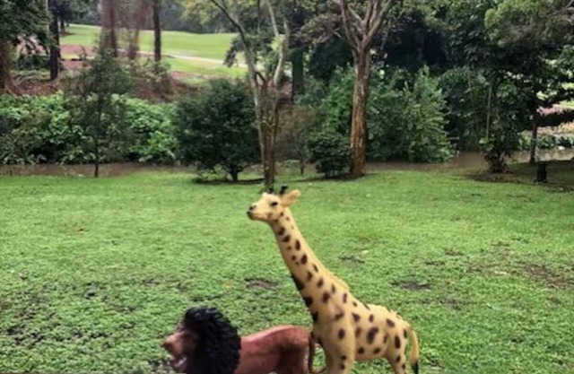 Urban Hideaway overlooking golf course.