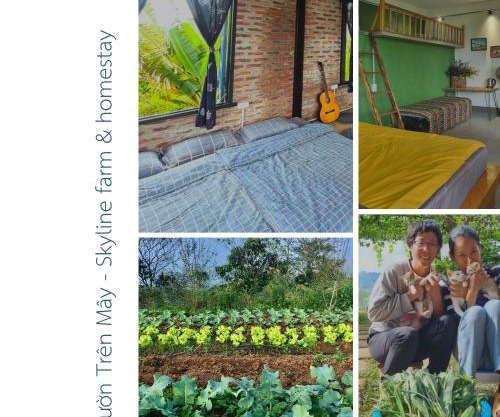 Vườn Trên Mây - Skyline Farm & Homestay