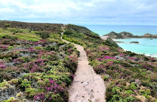 Vacances sur le Cap D'erquy