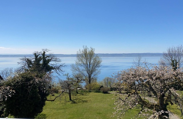 Vacation apartment Haus am See - Hagnau am Bodensee