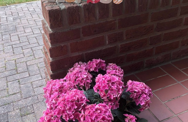 Vacation apartment/apartment for 8 guests with 83m² in Osterbruch (272471)