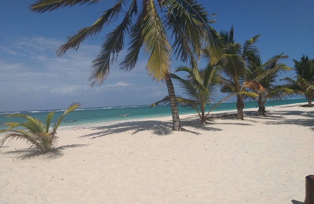 Vacation home for 5 guests with 150m² in Diani Beach (264372)