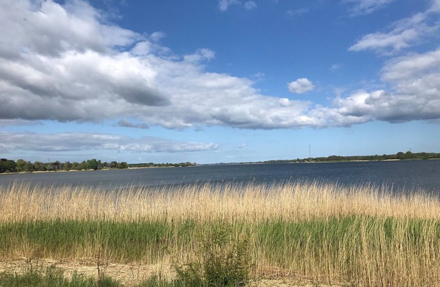 Vacation home Strandgut Wackerballig in Gelting