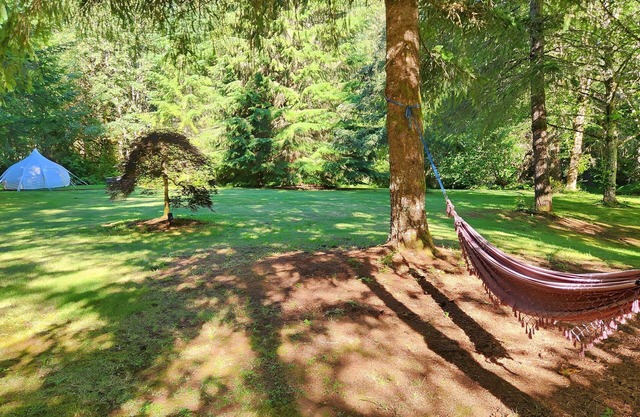 Vacations, Ceremonies, Weddings, Events, with Pets