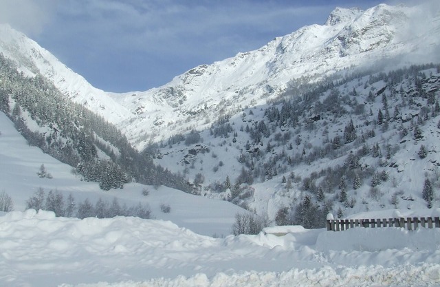 Vaujany, alpes d'huez, ski, bike, hike, trail chalet 40m2 2/5p,