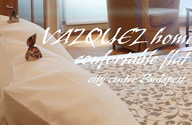 VAZQUEZ home 2 City center confortable flat.