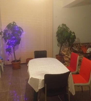 Vila Elena si Ionut