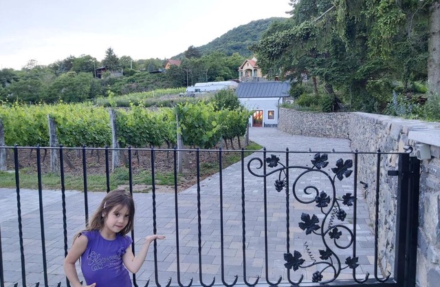 Villő Villa