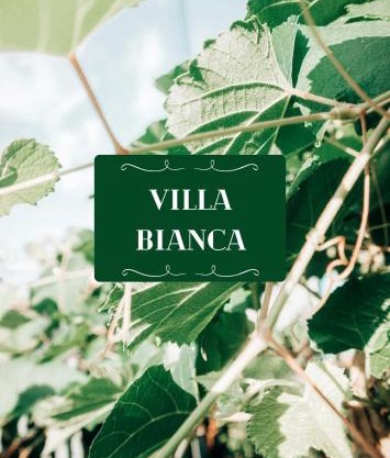 Villa Bianca - Holiday & Business