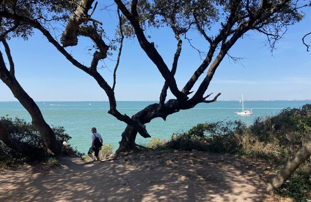 Villa Familiale Front de mer