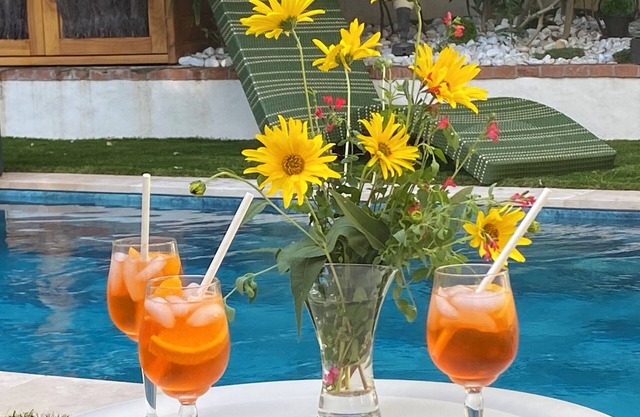 Villa L'ENTREPOTES with heated pool in CHINON's historic city center