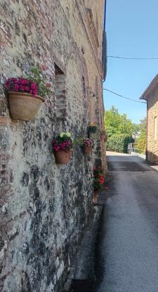 Villa la Grotta Montecastelli Pisano