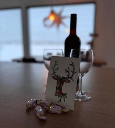 Villa Lapland reindeer farm