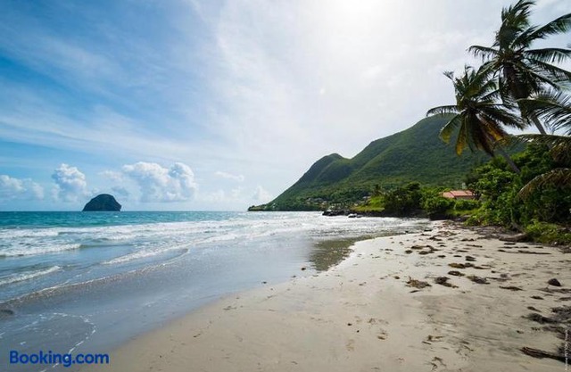 Villa Les Oliviers 4 chambres face a la mer