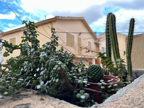 Villa Manolo s Chimenea