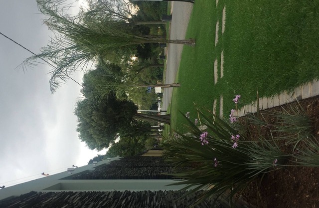 Villa Moshay- luxurious, 5 star self catering home