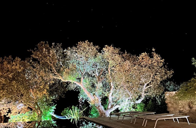 VILLA Sea View with beautiful swimming pool and enclosed garden, seaside SOUTH CORSICA