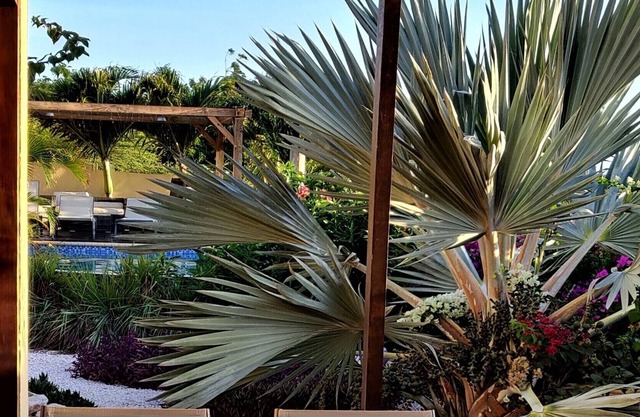 Villa Topzicht Curaçao