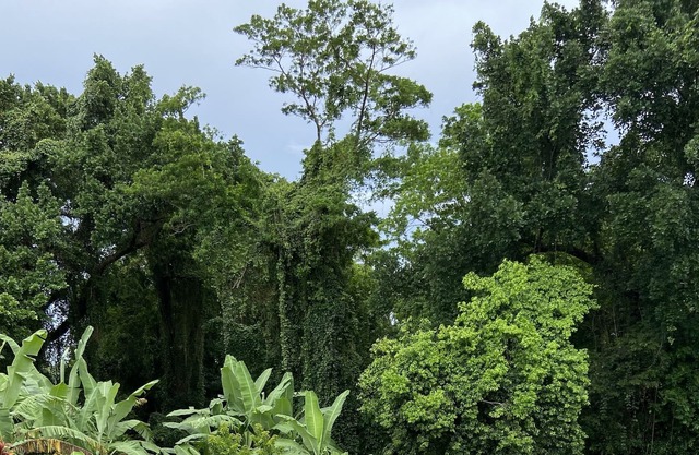 Villa with swimming pool, 5 minutes from the beach!