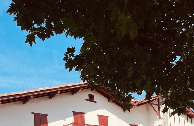 Vrbo Property