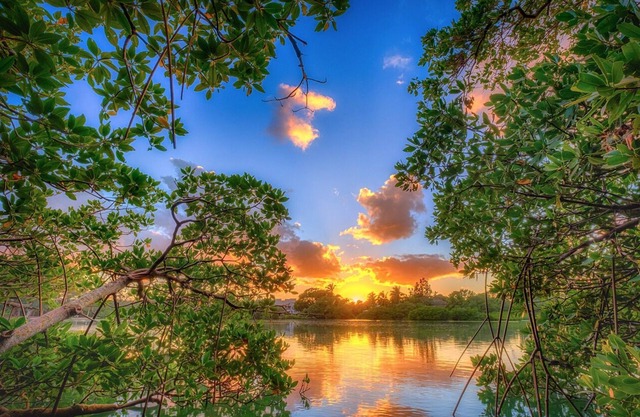 Walk to the beach, shopping, restaurants, and more! ❤️💛💚