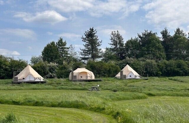 Walltree House Glamping - Cozy Glamping experience