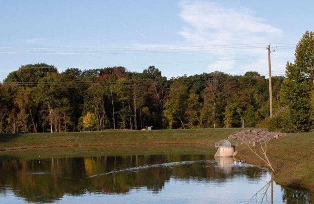 Warm and Cozy Basement suite