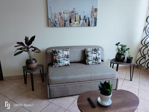 Warmisitay Mini departamento