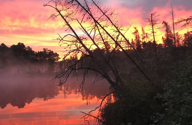 Waterfront Cabin: Pontoon Boats, Canoes, Kayaks. Pets Ok. Colorama Specials!