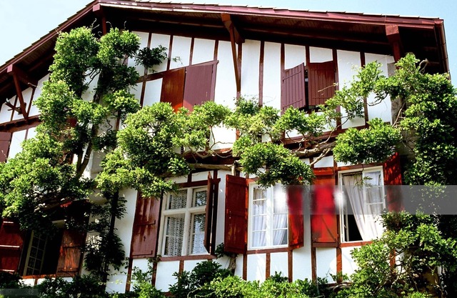 WEEKEND or Quiet stay between SEA and MOUNTAIN