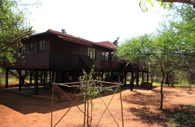 Welcome in the Bush Amazing Moments to Share With Wildlife